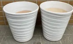 J植木鉢 2個セット 陶器製 胡蝶蘭 - メルカリ