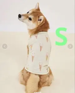 ジェラートピケ 【CAT&DOG】アイス柄カットソープルオーバーSサイズのサムネイル