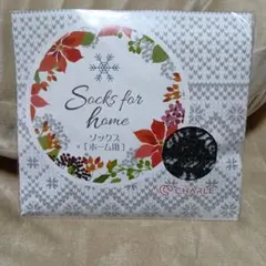 Item thumbnail for item b321abd4-10e8-4fff-9f05-acb39bfcff38