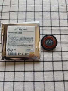 txt ワッペンバッチ