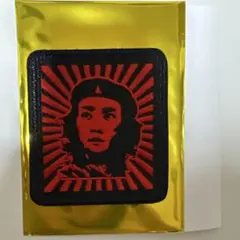 ハルカミライ ランダムワッペン　メキ大地