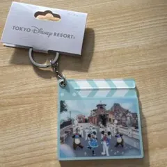 東京ディズニーリゾート アクリルキーホルダー