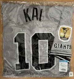 甲斐拓也 応援グッズ