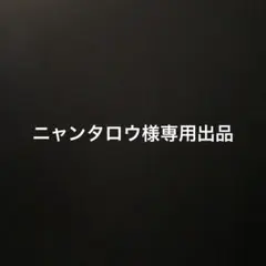 ニャンタロウ様専用出品