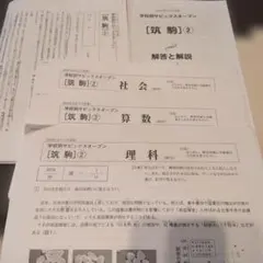 NN女子学院 そっくりテスト問題集 4教科×6回 早稲田アカデミー - メルカリ