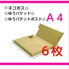 *263★ゆうパケット★クリックポスト★最大サイズ 厚さ3cm A4 ６枚