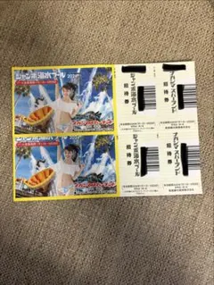 ナガシマジャンボ海水プール 入場券 大人5枚セット - メルカリ