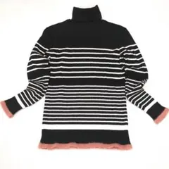 ✨️アネラリュクス✨️タートル黒白ボーダー ストライプ　S　　QVC