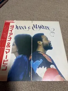 レコード5枚セット マーヴィン・ゲイ、ダイアナ・ロス、ティーナ・マリー他 レコード5枚セット マーヴィン・ゲイ、ダイアナ・ロス、ティーナ