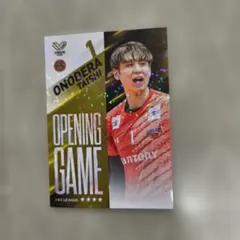 vコレ スポーツカード