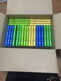 ディズニー英語　DWE 新子役 ストレートプレイ シングアロングセット
