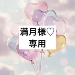 満月様 リクエスト 2点 まとめ商品