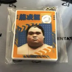 Item thumbnail for item cb0eb1cb-a182-4b2b-836c-fffc2b2f2732