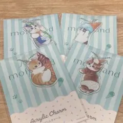 mofusand アクリルキーホルダー 4個