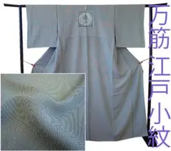 2026年最新】極万筋柄着物の人気アイテム - メルカリ