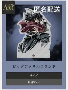 鬼滅の刃 WEBSHOPくじ 冨岡義勇 A賞 ビッグアクリルスタンド まとめ