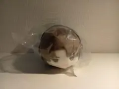 FGO ラスプーチン　言峰 綺礼　もちます