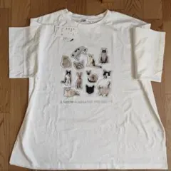 【gleam】猫プリント Tシャツ　白　タグ付き未使用のサムネイル