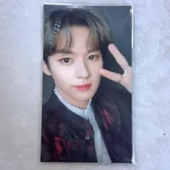 straykids スキズ LEEKNOW リノ THESOUND 通常盤 封入