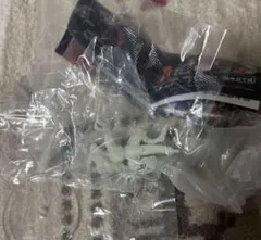 蒼き団長 ドギラゴン剣 カプセルシークレット 1点