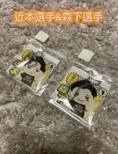 Item thumbnail for item 64536446-7fa2-49c6-986a-1e0defbcd9d0