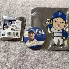 Item thumbnail for item 91b46b52-772f-4949-8d07-4ad9f9f86b49