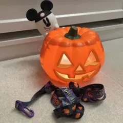 Tokyo Disney Resort ハロウィン ポップコーンバケットのサムネイル