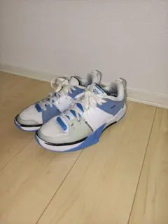 NIKE JORDAN ONE TAKE 5 PF 28cm バッシュ