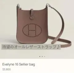 【未使用に近い⭐︎】HERMESミニエブリンTPMエトゥープ希少 エヴリンTPM アマゾン エトゥープ ベージュ[H069426CKBF] evelyn TPM