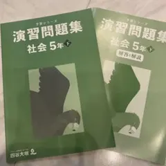 2025年最新】四谷大塚 予習シリーズ 5年 下の人気アイテム - メルカリ