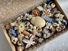 No. 371花材 木の実 詰め合わせセット