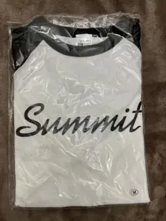 SUMMIT PUNPEE ラグラン