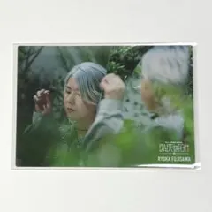 2025年最新】mrs. green apple フォトカ 大森元貴の人気アイテム