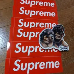 Supreme　BOXLOGO　ボックスロゴステッカー6枚とワンちゃんステッカー