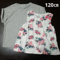 本日限定♡T シャツ 半袖 150 キャンプ 新品未使用