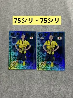 topps Japan Edition マクシミリアン・バイアー 75シリセット