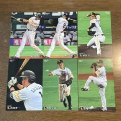 プロ野球チップス カード 福岡ソフトバンクホークス
