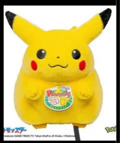 ポケモン30周年記念 おかえり！ピカチュウ1／1