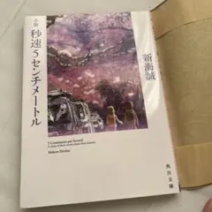 小説 秒速5センチメートル