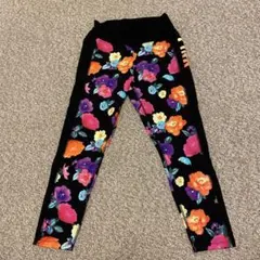 Item thumbnail for item 45b732ae-6b67-447b-a20d-c4b8601eb1c7