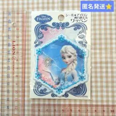 アナと雪の女王 ワッペン　エルサ