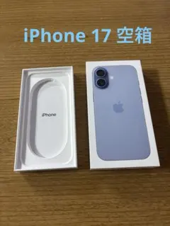 Apple iPhone 17 Mist Blue 256GB 空箱