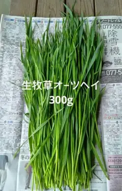 생 목장 오츠헤이 ★ 300g ★ 번역 포함 ★ 살충제, 제초제 없음