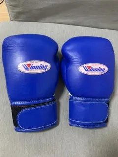 極美品 Winning SB-3000 ボクシング パンチング グローブ 日本製