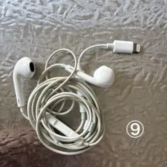 Item thumbnail for item 134d2922-8e99-461f-ba69-781510506f96