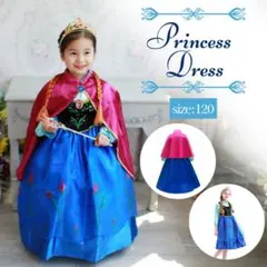 アナ雪  120サイズ 戴冠式 プリンセス 長袖 ディズニープリンセス ドレス