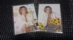 瀬口黎弥　フォトカード　FANTASTICS ファンタ　SUN FLOWER