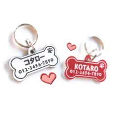 Item thumbnail for item ce17fa26-5233-4899-ba81-f036d69a4519