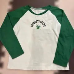 インセクトコレクション