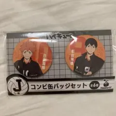 2025年最新】影山飛雄 缶バッジ まとめ売りの人気アイテム - メルカリ